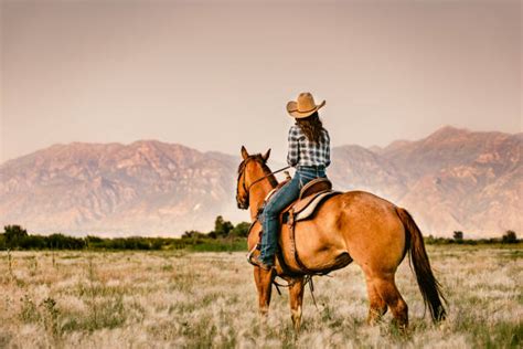 cowgirl pics|39,900+ Cowgirl Stock Photos, Pictures & Royalty